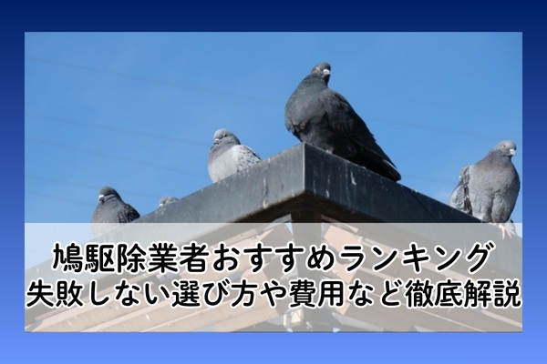 鳩駆除業者おすすめランキング